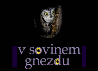 V sovinem gnezdu